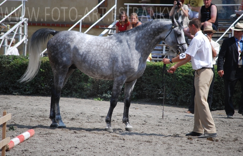001- 904.jpg