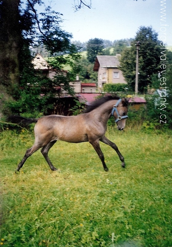 98.jpg