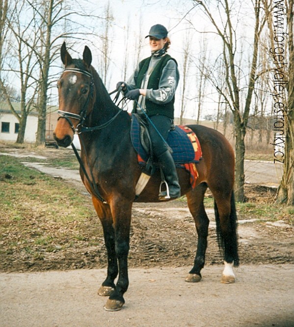 96.jpg
